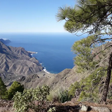 Taidia Tropical * Μασπαλόμας
