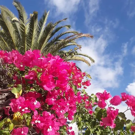 Διαμέρισμα Taidia Tropical *